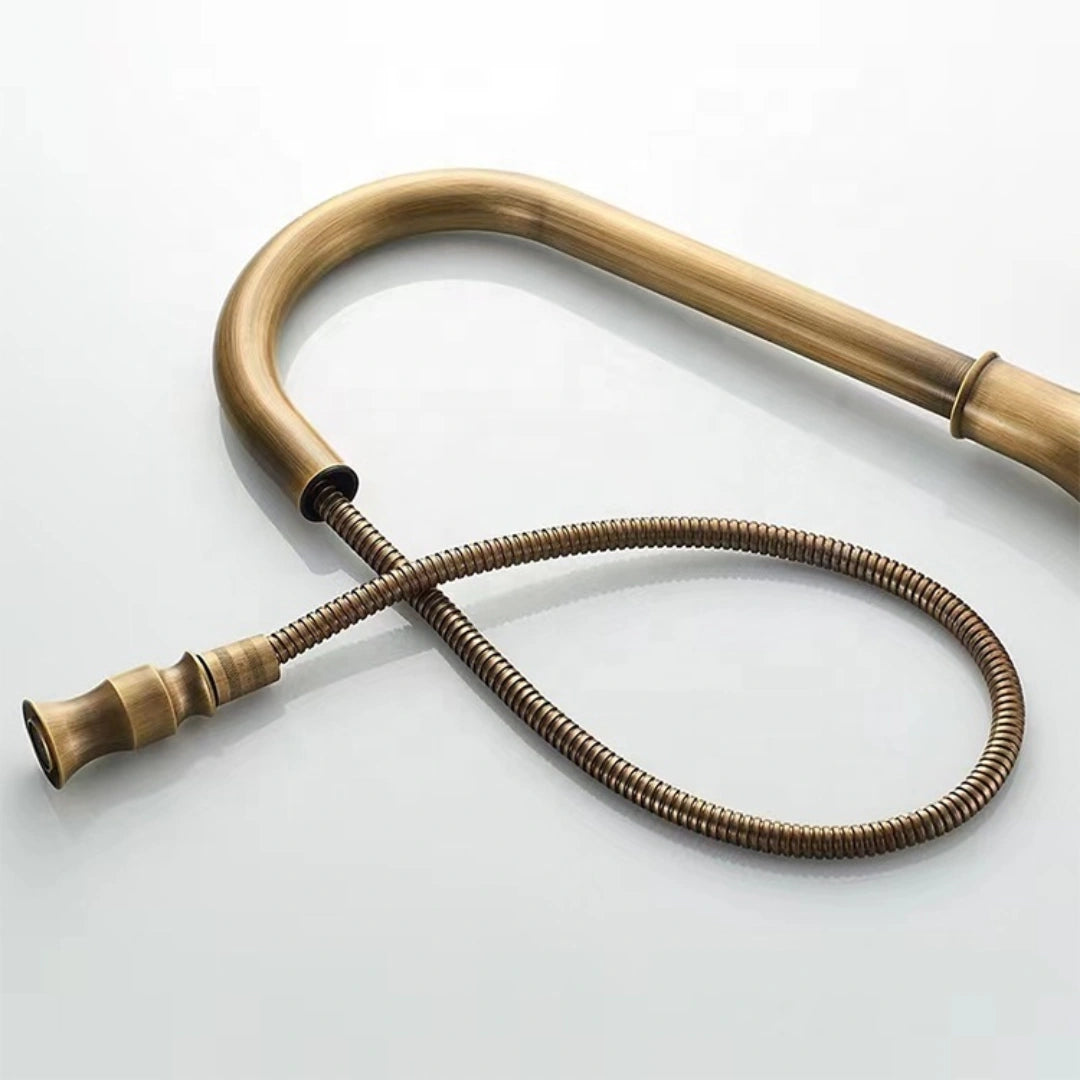 Haven - Antique Brass Pull Out Kitchen Tap - Goose Neck