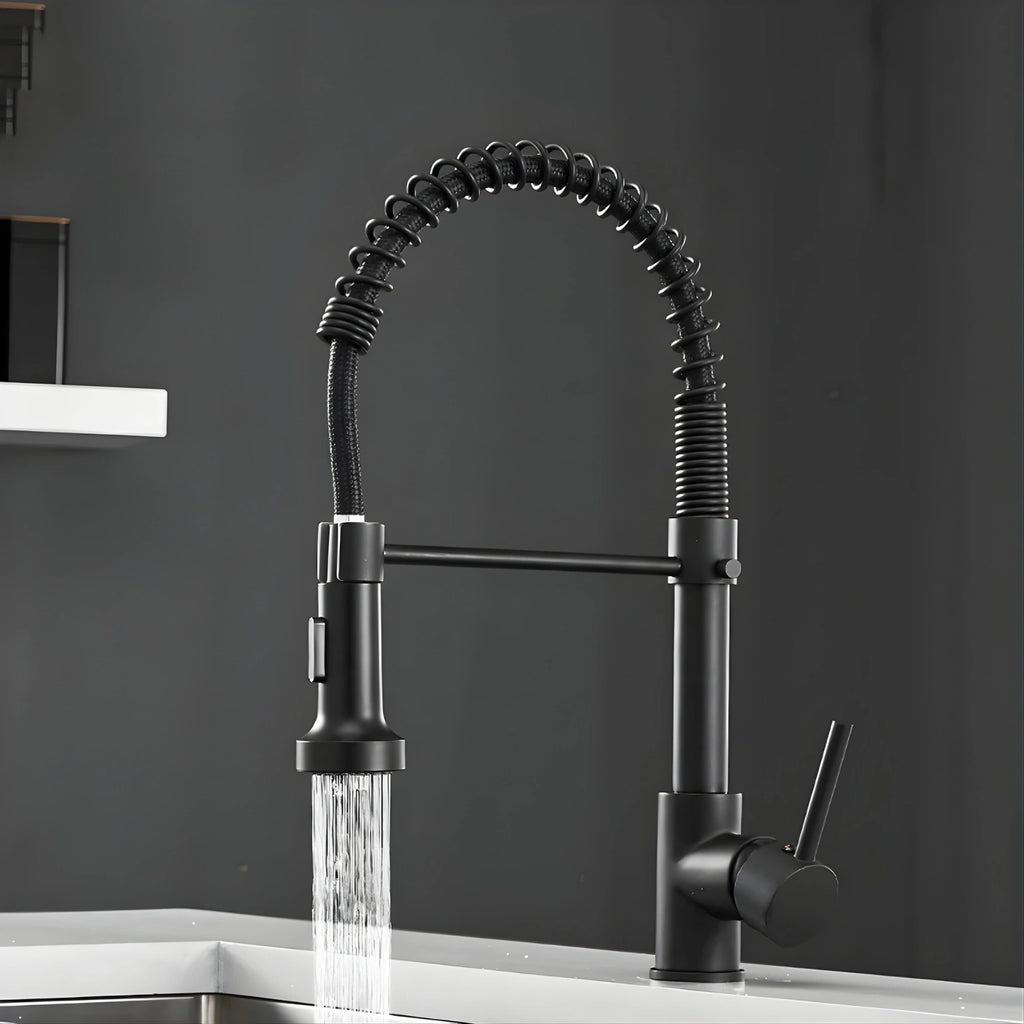 Flint - Pull Out Kitchen Tap - Spring Neck - Dual Spray