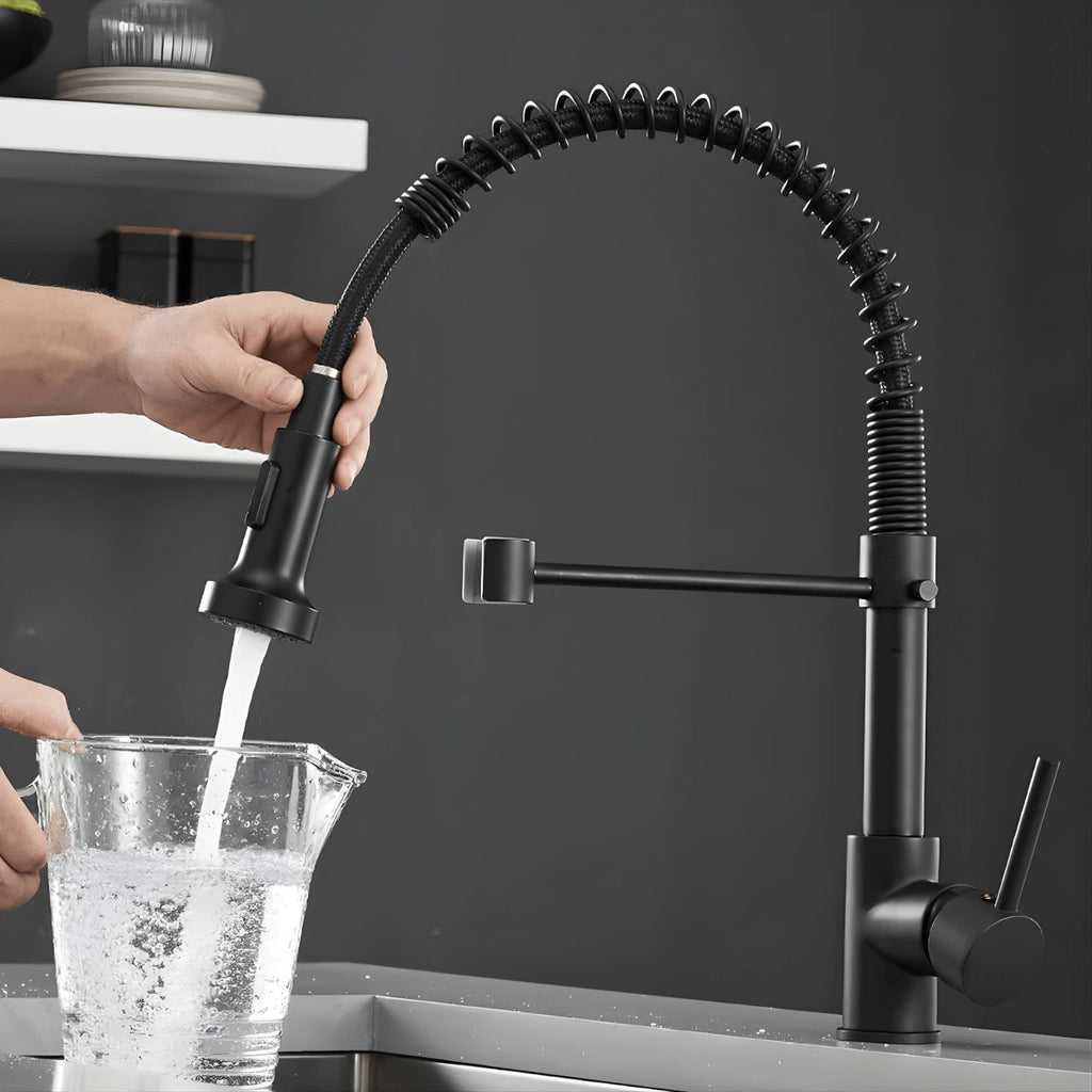 Flint - Pull Out Kitchen Tap - Spring Neck - Dual Spray