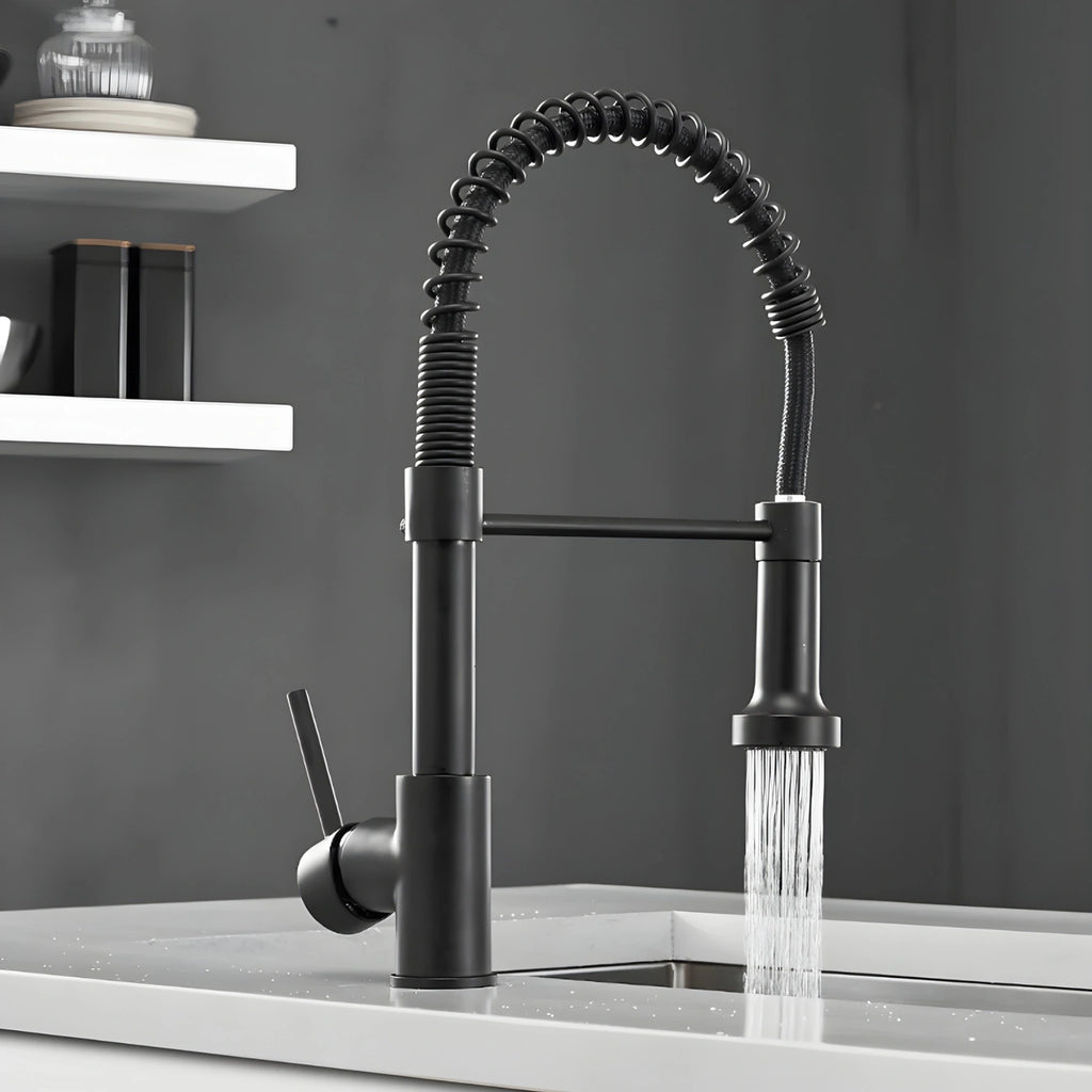 Flint - Pull Out Kitchen Tap - Spring Neck - Dual Spray