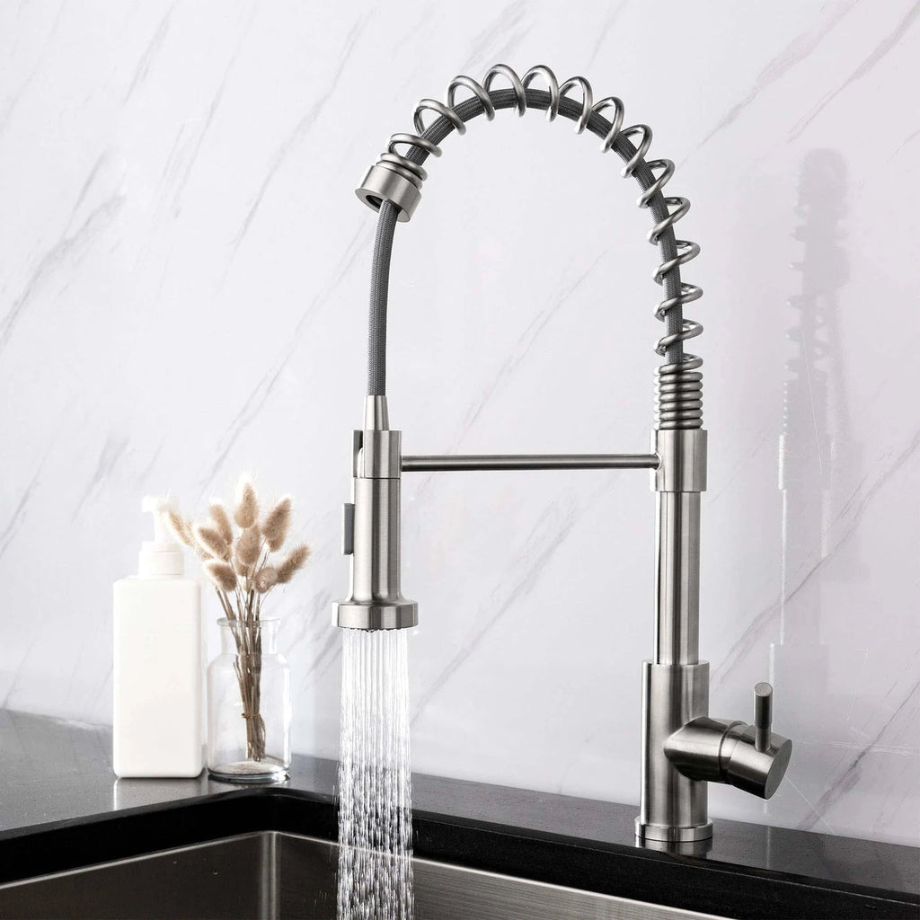 Flint - Pull Out Kitchen Tap - Spring Neck - Dual Spray