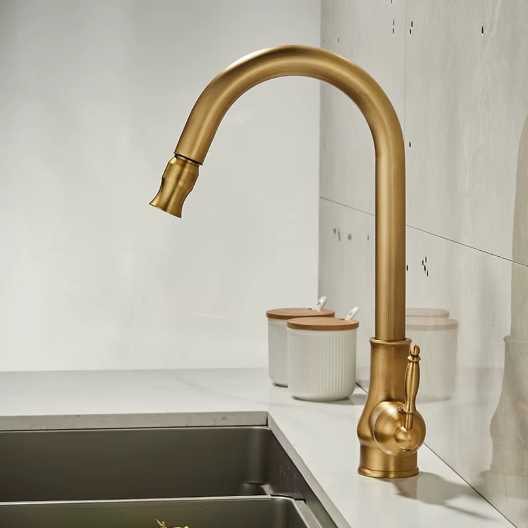 Haven - Antique Brass Pull Out Kitchen Tap - Goose Neck