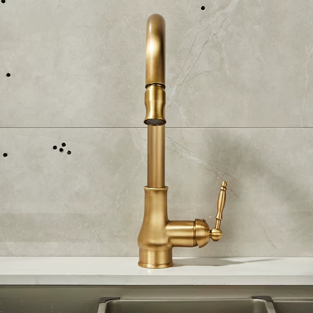Haven - Antique Brass Pull Out Kitchen Tap - Goose Neck