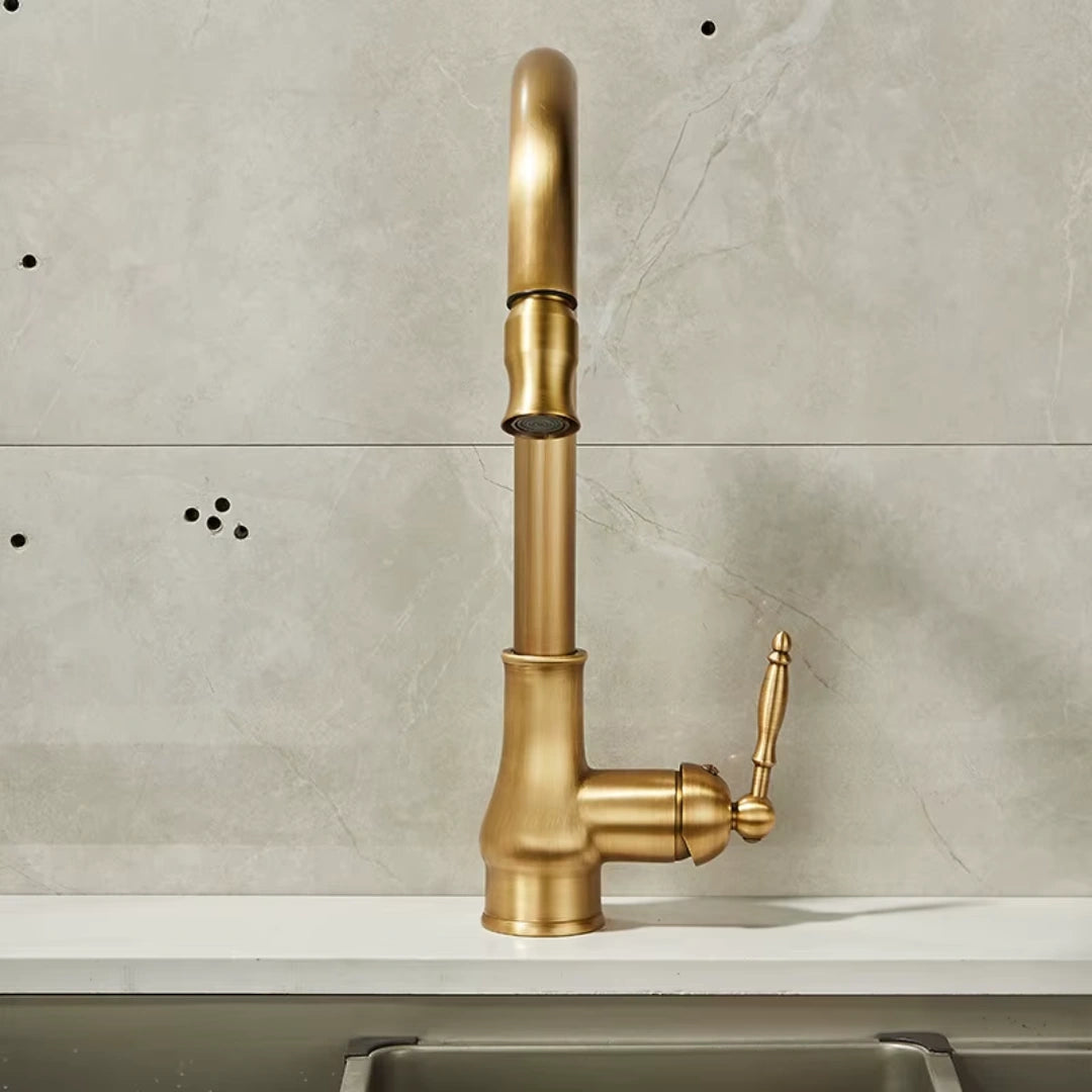 Haven - Antique Brass Pull Out Kitchen Tap - Goose Neck