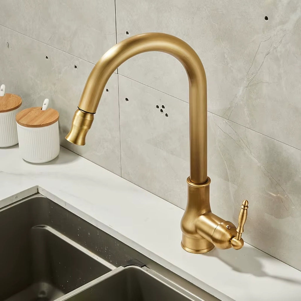 Haven - Antique Brass Pull Out Kitchen Tap - Goose Neck