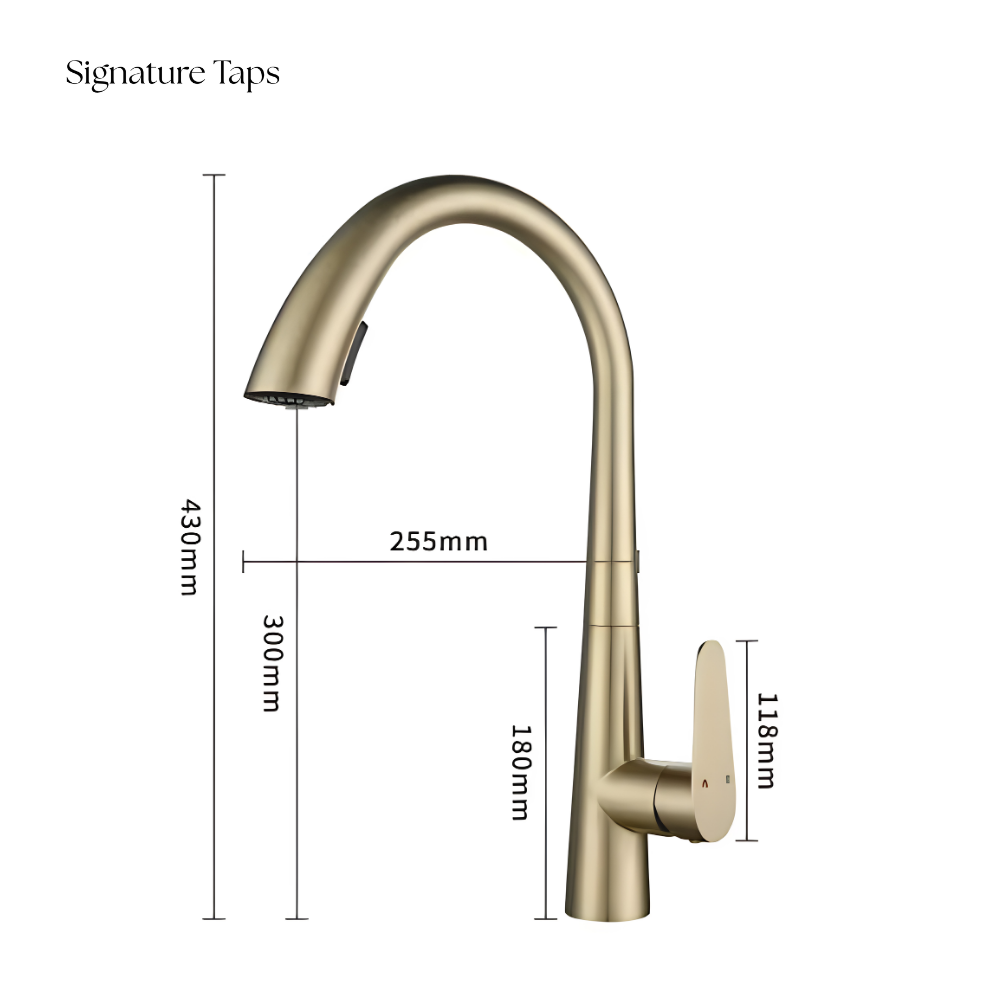 Blow - Pull Out Kitchen Tap - Goose Neck - Spray Modes