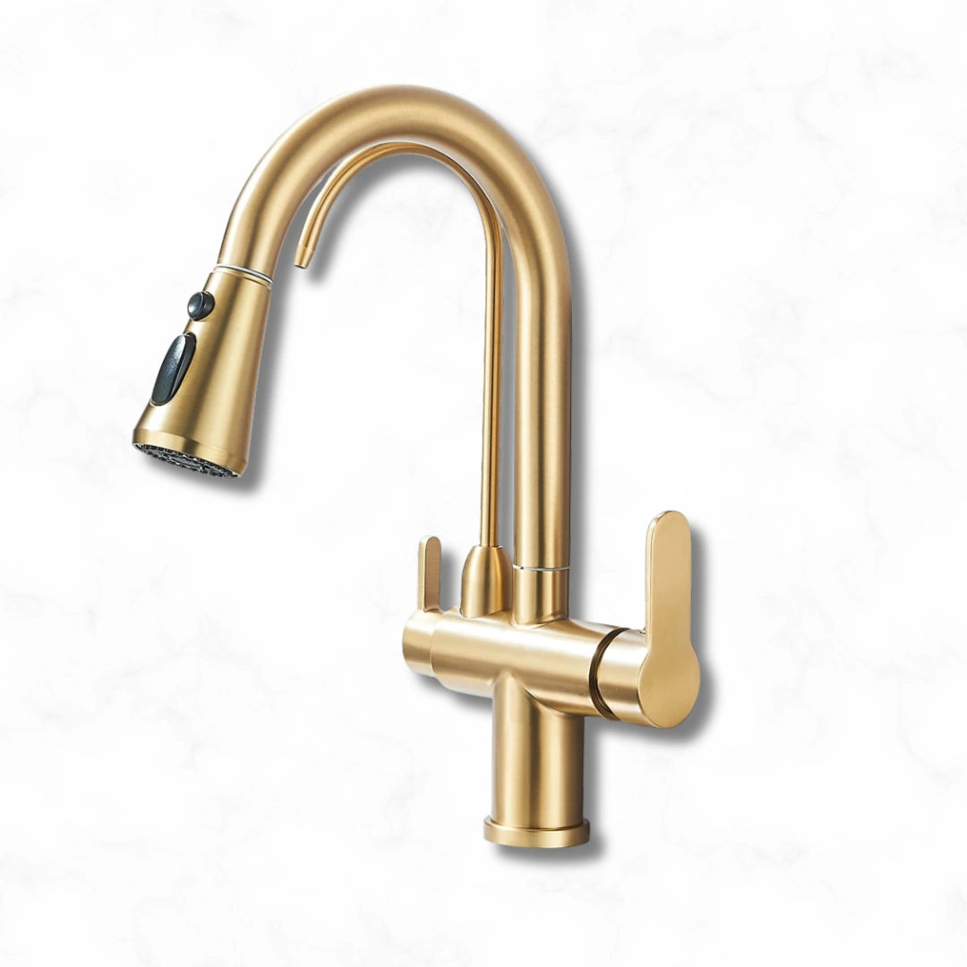Arch - Pull Out Kitchen Tap - Goose Neck - Dual Handle - Dual Spout - Spray Modes