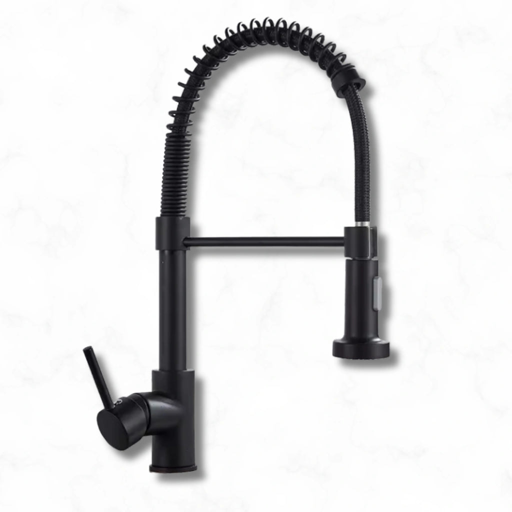 Flint - Pull Out Kitchen Tap - Spring Neck - Dual Spray