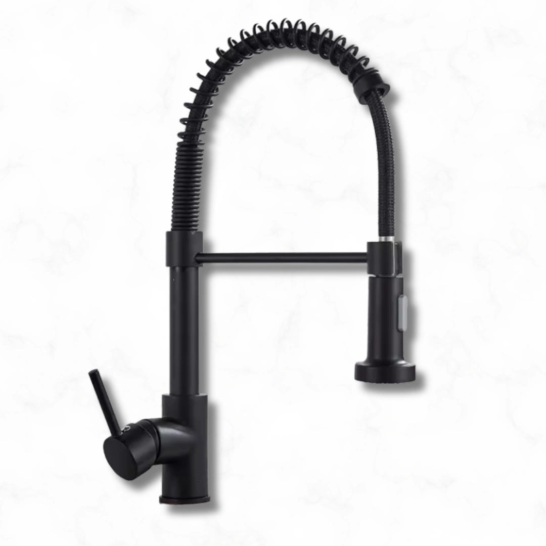 Flint - Pull Out Kitchen Tap - Spring Neck - Dual Spray