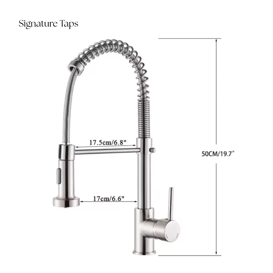 Flint - Pull Out Kitchen Tap - Spring Neck - Dual Spray