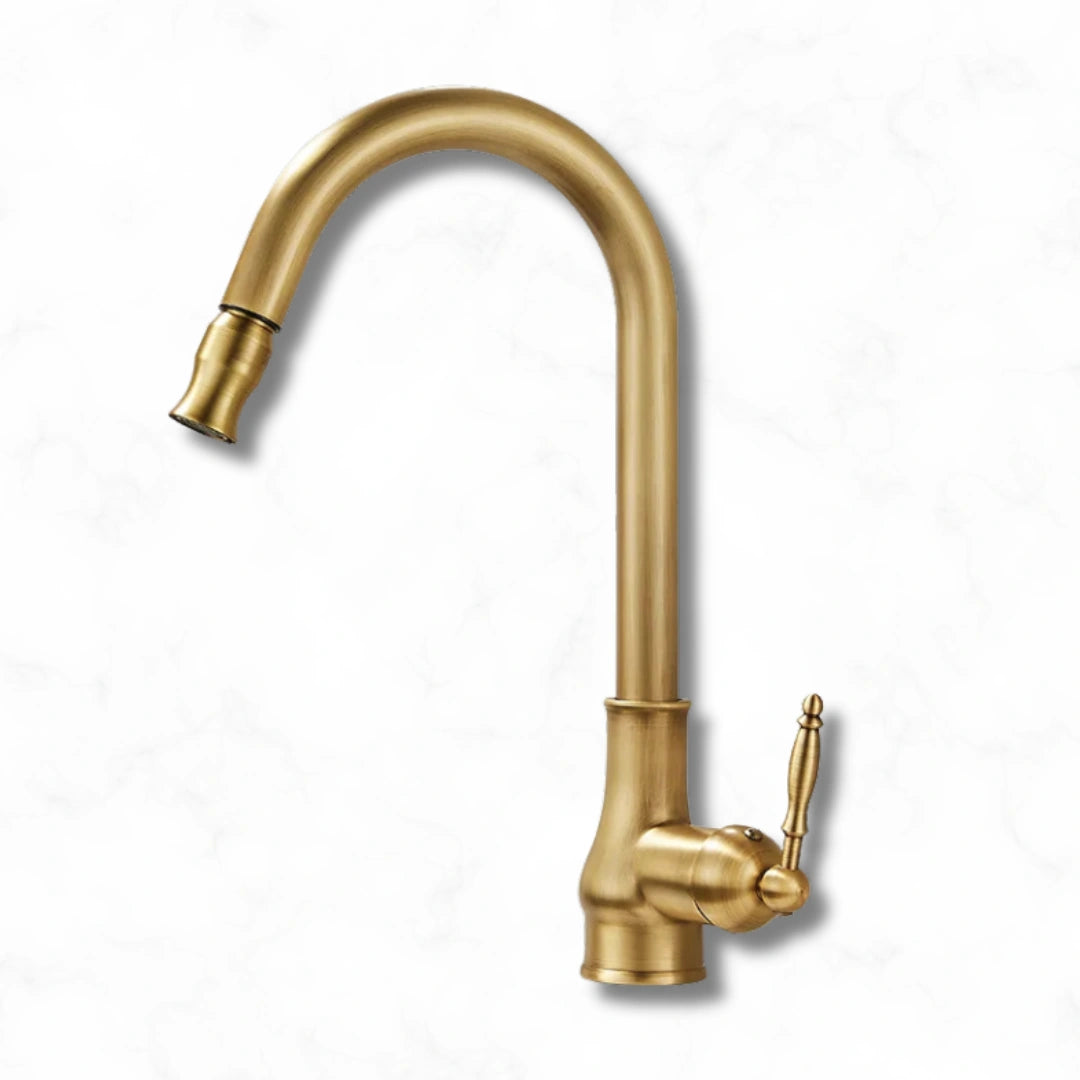 Haven - Antique Brass Pull Out Kitchen Tap - Goose Neck