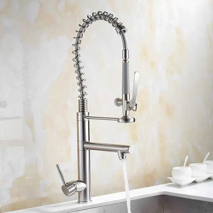 Ridge - Pull Out Kitchen Tap - Spring Neck - Dual Spray - Dual Spout