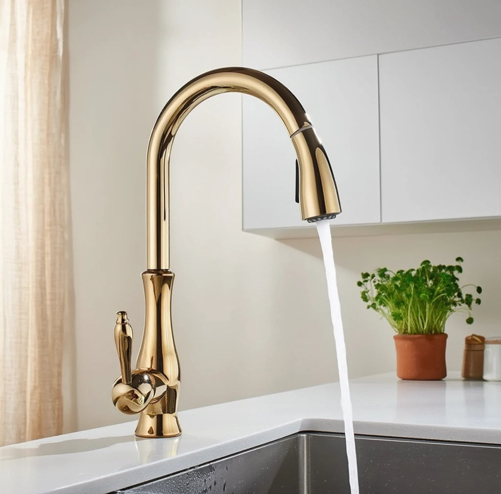Gate - Pull Out Kitchen Tap - Goose Neck - Spray Modes