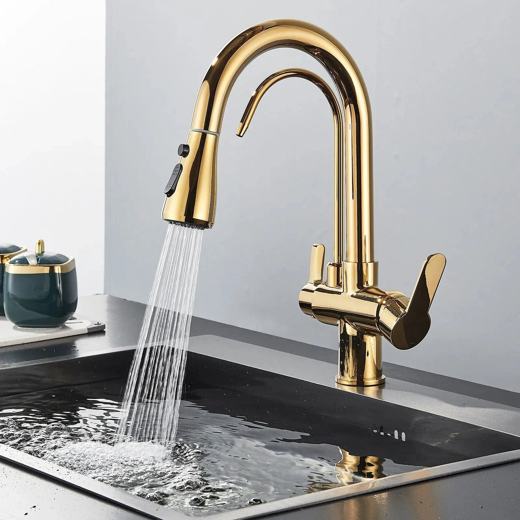 Arch - Pull Out Kitchen Tap - Goose Neck - Dual Handle - Dual Spout - Spray Modes