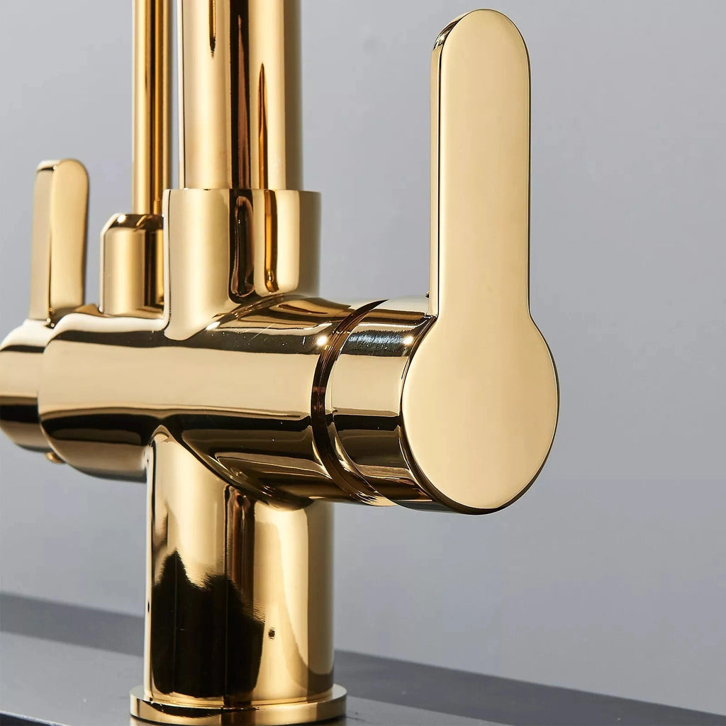 Arch - Pull Out Kitchen Tap - Goose Neck - Dual Handle - Dual Spout - Spray Modes