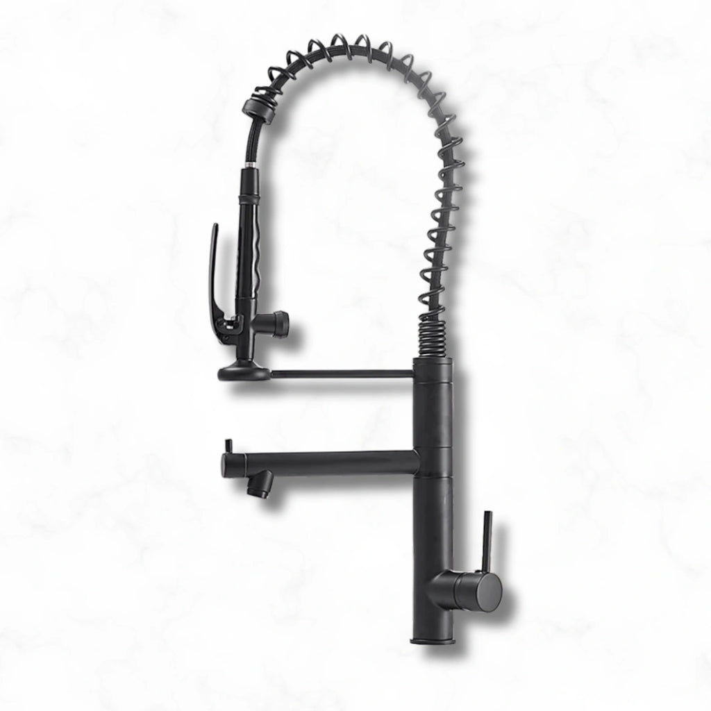 Ridge - Pull Out Kitchen Tap - Spring Neck - Dual Spray - Dual Spout