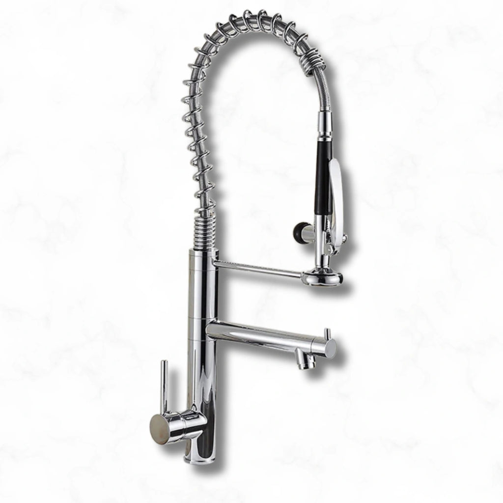 Ridge - Pull Out Kitchen Tap - Spring Neck - Dual Spray - Dual Spout