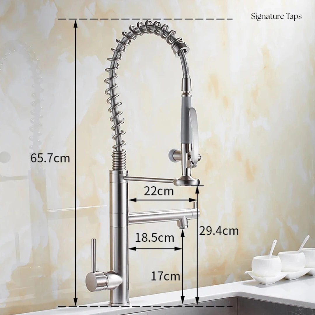 Ridge - Pull Out Kitchen Tap - Spring Neck - Dual Spray - Dual Spout