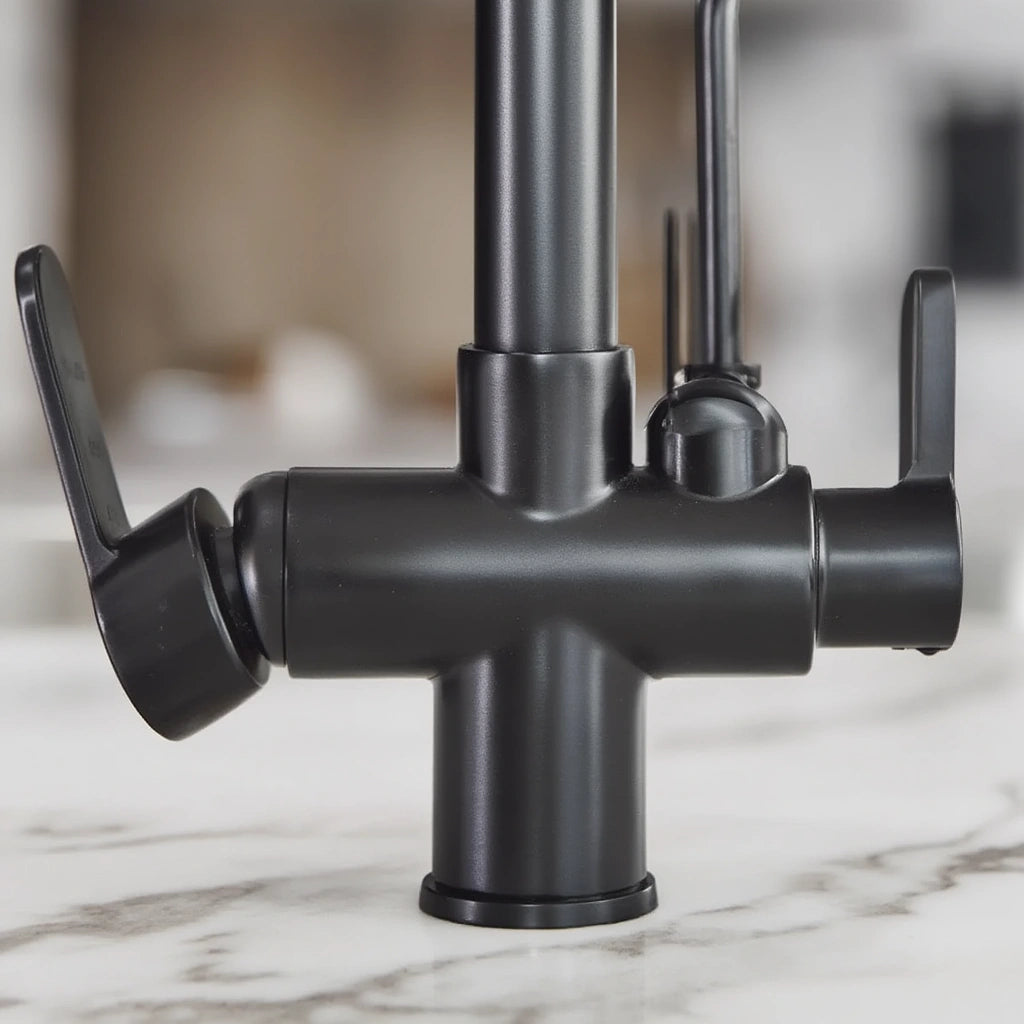 Arch - Pull Out Kitchen Tap - Goose Neck - Dual Handle - Dual Spout - Spray Modes