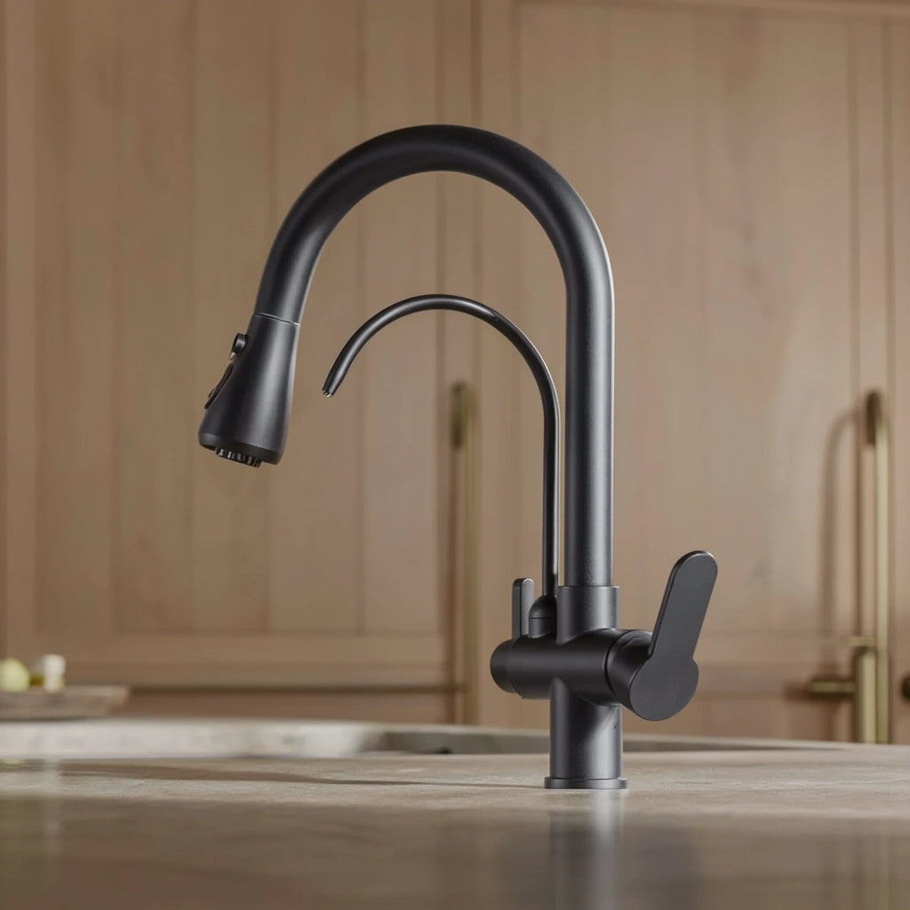 Arch - Pull Out Kitchen Tap - Goose Neck - Dual Handle - Dual Spout - Spray Modes